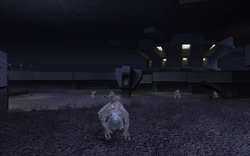 Rakghouls on Taris