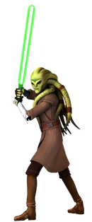 KIT FISTO -