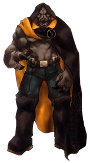 Дашейд в плаще