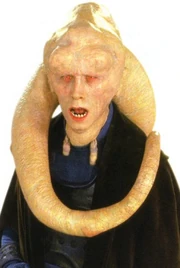 Биб Фортуна