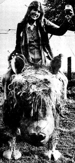 Кэрри Фишер на джербе.