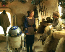 Padme Stretch Anakin
