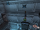 Rianna handstand SWLA.png
