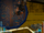 Upside down SWLA-PS.png