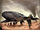 DropshipDeployment-TSS.jpg