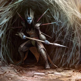 Spiderclan Protector