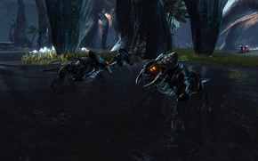 Закуульские пастеворры