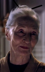 Главный библиотекарь  в 22 ДБЯ