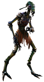 Verpine AoRSR