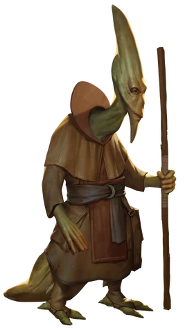 Anx FDSS Arden Beckwith