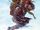 TotJRedemption3-Textless-EC.png