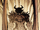 Krayt.PNG