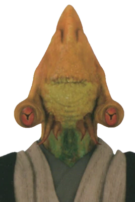 ColemanKcaj-Profile-SWCTP-J