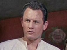 Maurice Bush