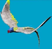 Файнок, один из видов атмосферных майноков