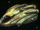 DeepWater.png