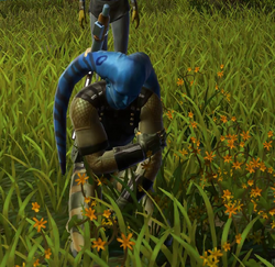 Nalen Raloch defeated 2 SWTOR