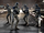 501st-ROTS.png