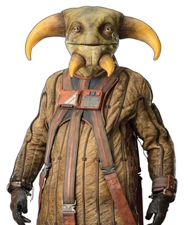 Boolio-AdvanceGraphics