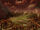 Dathomir swamp environment.jpeg