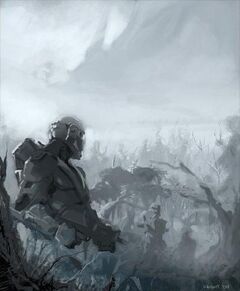 Clone commandos grey.jpg