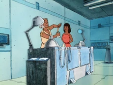 Изготовление вакцины от рузской болезни