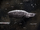 Remduba system convoy AoRCR.png