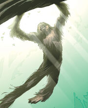 Chewbacca 004