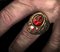 Rebel signet ring