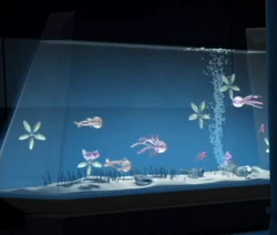 Аквариум сенатора Кристо на Корусанте