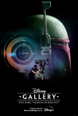DisneyGalleryBOBFPoster