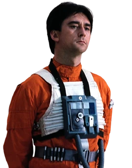 WedgesEntireHead-ROTJ