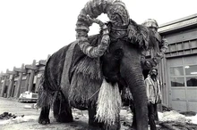 Марджи за кадром.