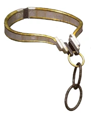 Модифицированный талассианский ошейник