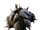 Скунгус