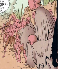 Племя ковеев