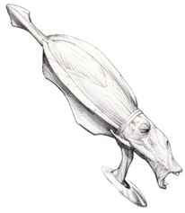 Концепт-арт Руна Хаако