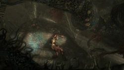 Убитая Лика.