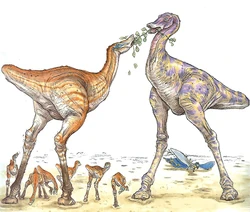 Кааду, один из видов рептоптиц