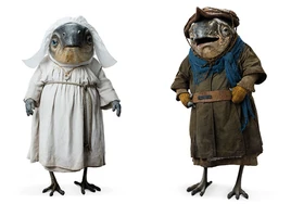 Lanais of both sexes