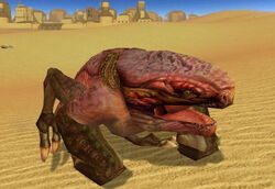 Wraid Tatooine