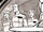 COMPNOR xenophobia EAR.jpg