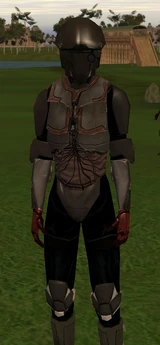 Боец Мистрильской штурмовой пехоты