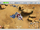 AT-TE Rescue 01.png