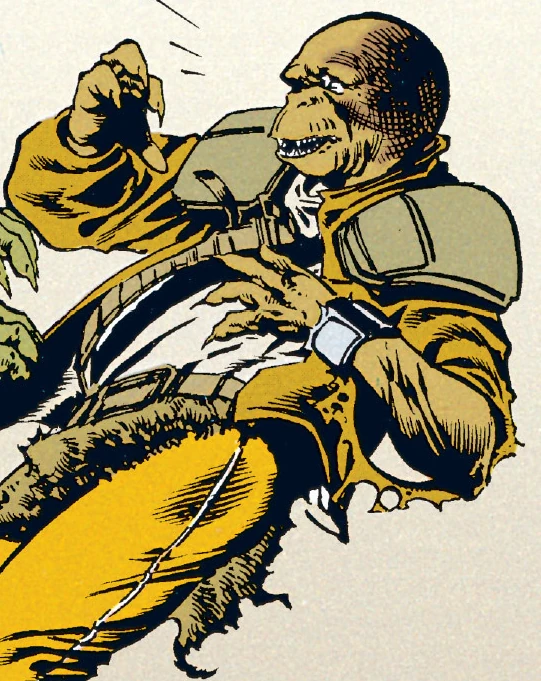 Роко | Вукипедия | Fandom