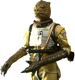 Трандошанин  принадлежал к расе разумных рептилий.