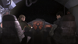 Juno&Starkiller
