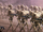 Strength in Numbers SWDL.png