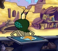  готовится съесть морскую звезду.