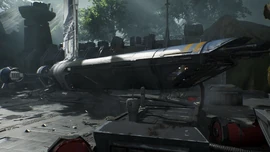 Богомол на кашиике